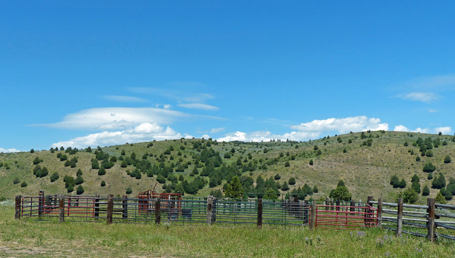 Elk Springs Pasture