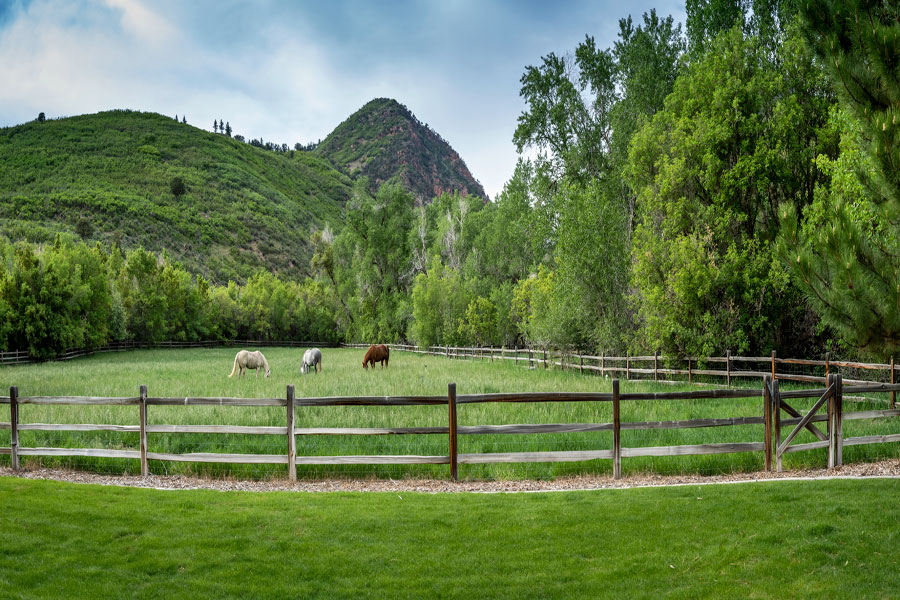Trail Creek Canyon Ranch Horse Barn