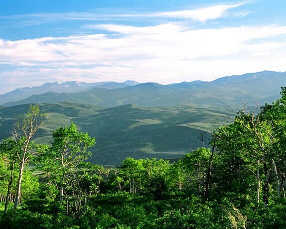 Big Piney Mountain Ranch