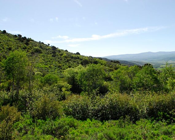 SUMMIT COUNTY, UTAH - Huff Creek Base Camp