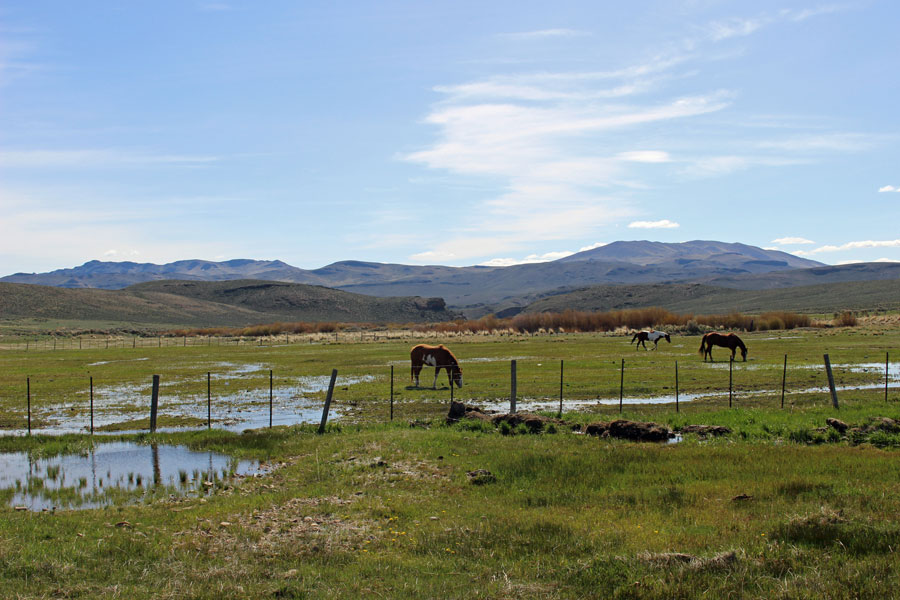 Bell Brand Ranch