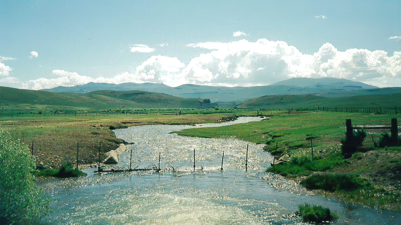 Creek flowing through pasture at Bell Brand Ranch