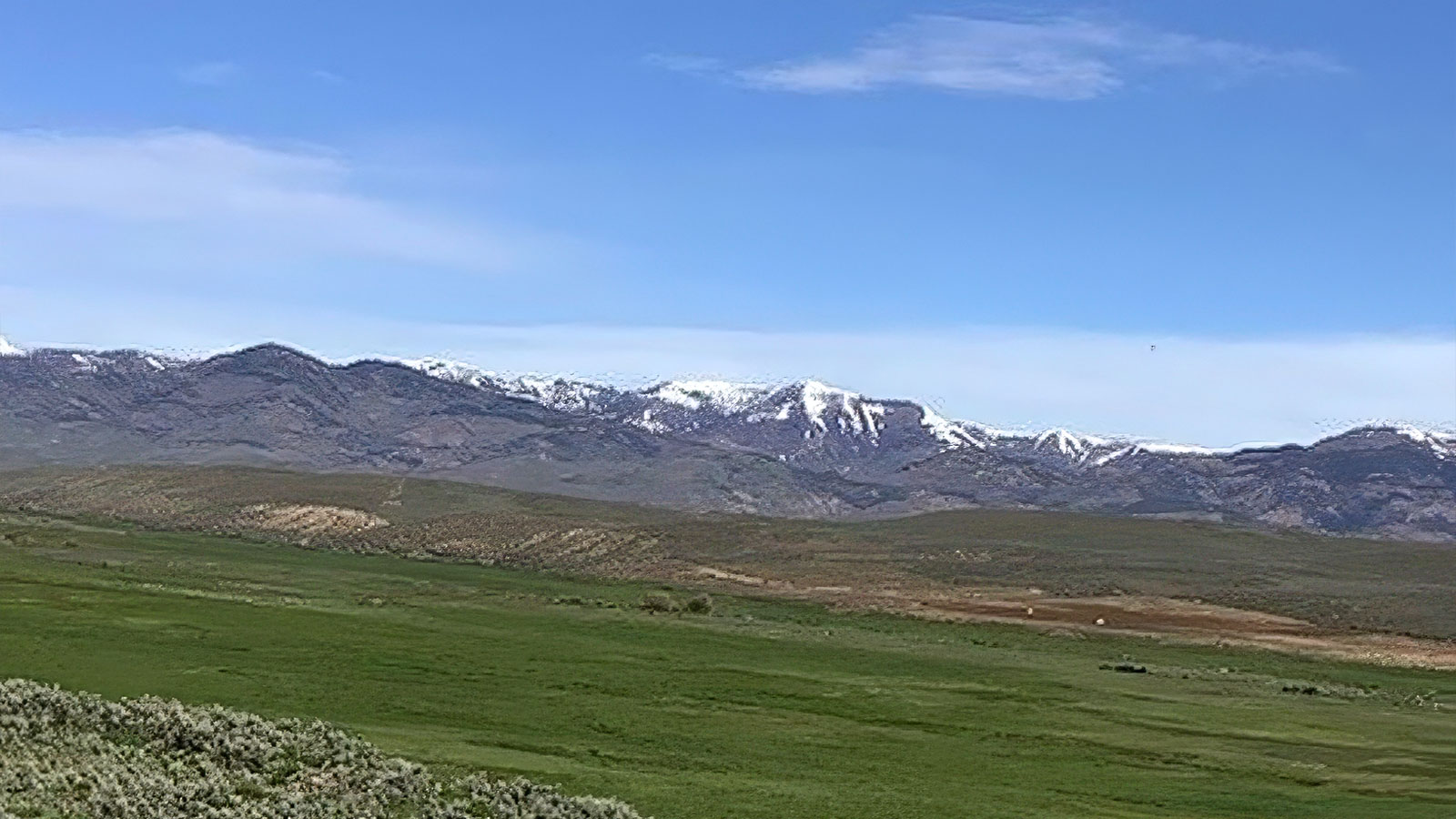 Mountain range beyond a meadow at Bell Brand Ranch